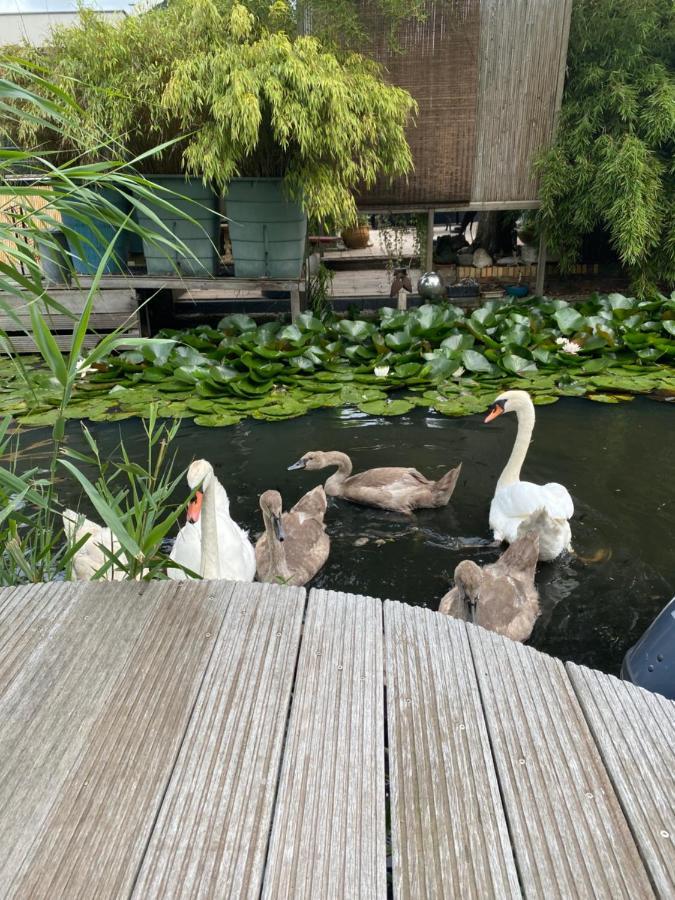 Casa Di Maksch De Miniatura Bed & Breakfast Amsterdam Bagian luar foto